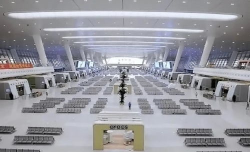 疫情冲击下，文旅企业的自救指南——基于龙德燕园研报 聚焦旅客票务代理业的挑战与突围